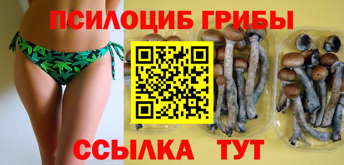 Псилоцибиновые грибы прущие грибы  Вход с VPN  цены   Владивосток 