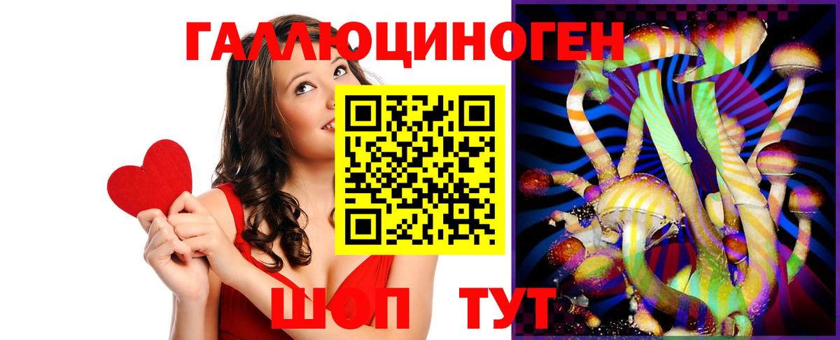 Галлюциногенные грибы Psilocybine cubensis Владивосток